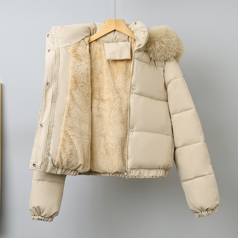 Winter Short Parkas Women's Co - Wool Coat Peacoat review and price