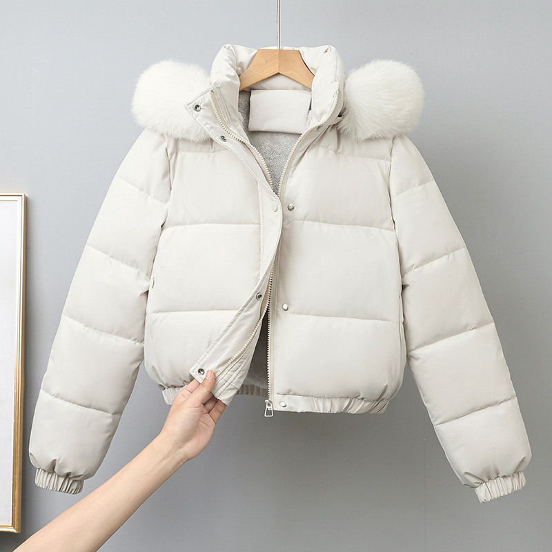 Winter Short Parkas Women's Co - Wool Coat Peacoat review and price